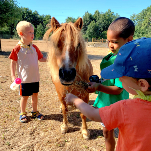 Beestig geestig 2023