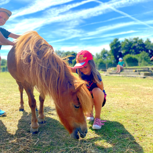 Teamadventure NATUURlijk 2023