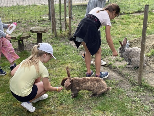 Teamadventure NATUURlijk