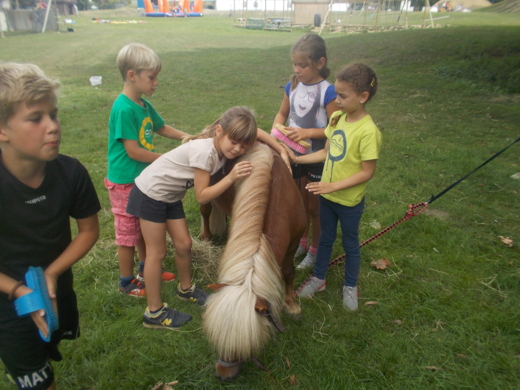 Teamadventure natuurlijk