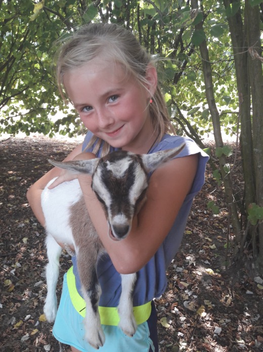 Teamadventure natuurlijk 2019